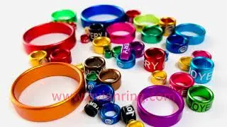 Aluminum bird ring| Pigeon ring| bird bands|Poultry ring|