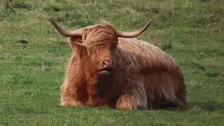 Scotland 2023  Highlights