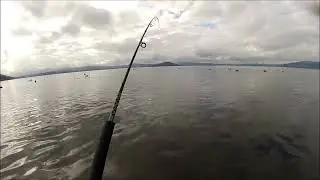 NEW ZEALAND TROUT FISHING ITS YESTERDAY ONCE MORE 14