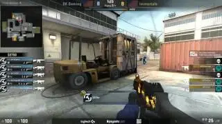 SK-Gaming.fer Amazing ACE (with 3HS) vs Immortals 🏆 ESL Pro League Season 5 CS GO