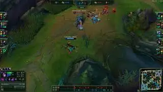 Yorick wall bug