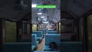Metre gauge Vistadome || Mailani- Bahraich || Indian railways || YDM4 || Dudwa national park #train