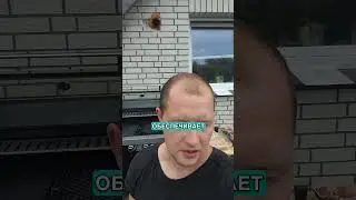 A Belarusian works in Germany.