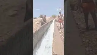 Palestinians Cool Off in Springs Amid Heatwave #shorts | VOA News