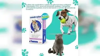 Review: Condroplex 1000 Mg 60 C&aacute;psulas Suplem. C&atilde;es E Gatos Avert