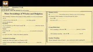 BC and IDP - Test Part 2/2 With - Answers Keys