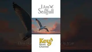 I Am the Seagull &ndash; A Cinematic Pop Journey (Short MV)