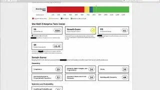 BADL Reading STAR Assessment Results