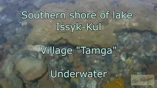 Kyrgyzstan, Issyk-Kul, Tamga, underwater.