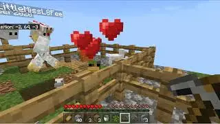 Lets Play Chicken Block'D EP 1 (update with friends)