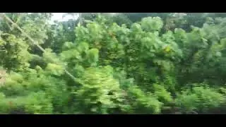 Kerala train Journey at 60 fps