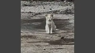 No more rain