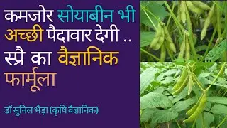सोयाबीन की खड़ी फसल में अच्छी पैदावार के लिए स्प्रै का वैज्ञानिक फॉर्मूला- उल्टा सीधा स्प्रै न करें❌🚫