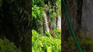mini water fall #music #love #song #shortsfeed #nature