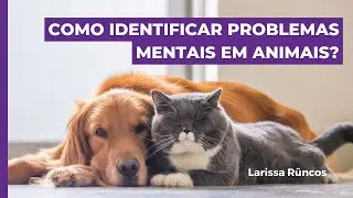 Como identificar se seu cão ou gato está com problemas mentais?