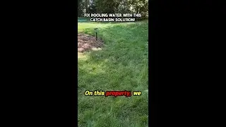Say Goodbye to Pooling Water with This Simple Fix!