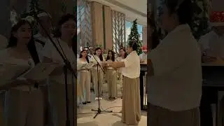 Citadines Christmas Tree Lighting