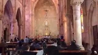 Iglesias de Zacatecas | Churches in Zacatecas México