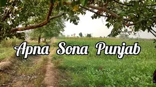 Apna Sona Punjab Culture | Punjab Beautiful Scenery | Indian & Pakistani Punjab | Punjab Village