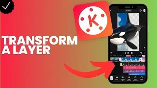 Как трансформировать слой в Kinemaster?