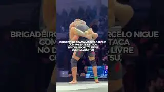 BRIGADEIRO X NIGUE ,BRIGADEIDO APAGOU NIGUE COM BATE ESTACA #mma #jiujitsu
