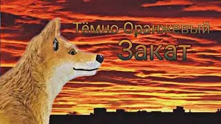 Schlaich клип: