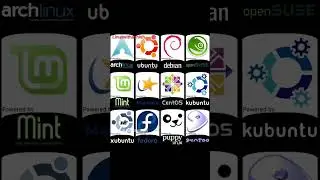 TOp Linux Distributions | #linux #linuxserver #technology #dev #technology #education #engineering