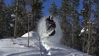 Snowhawk in Utah powder snow hawk 600