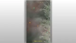 tree leaf affect avee player template|black screen template|green screen template|shorts video templ