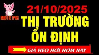 Gi&aacute; heo hơi h&ocirc;m nay 21/10/2025 | THỊ TRƯỜNG ỔN ĐỊNH | md12pig #giaheohoihomnay #giaheohoi