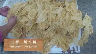 [海味系列] 花膠 - 製作篇 Fish Maw - Production