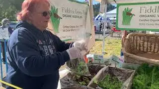Setting Up Your Farmers Market Booth Under COVID-19 Guidelines