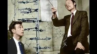 Scientist Stories: James Watson, The Double Helix