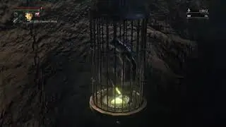 Thank you  Bloodborne