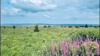 Hiking Les Hautes Fagnes 🇧🇪