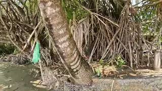 BARBADOS BAY ADVENTURE