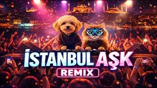 Turkish Deep House 2026 | DJ Kedi & K&ouml;pek - Istanbul (Remix)
