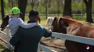EAL Programs: Strengthening Family Bonds Through Equine-Assisted Learning!
