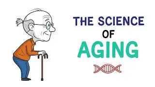 Every Signal Your Body Is Aging Faster Than You Think