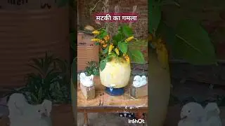 Matka DIy planter #Matki decoration ideas #youtubeshorts #garden