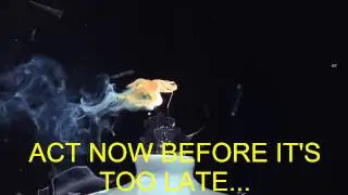Download Free Slow Motion Video Clips