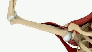 Shoulder Apprehension and Relocation Test