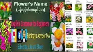 60 Flower names| in English, Burmese and rohingya language explained 