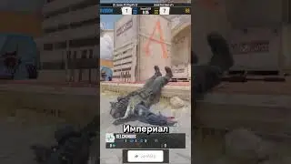 B8 vs IMPERIAL