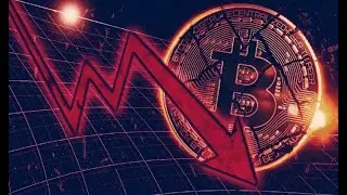 Massive Crypto Outflows! 😱 Bitcoin & Ethereum Take a Hit | Toncoin Surges 🚀