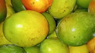 LOS MANGOS EN EL JARD&Iacute;N DE SOFI BEST