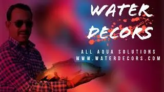 Fish Medicine Suppliments । मत्स्य पालन की दवा @waterdecors Dealership Available 8102921109