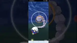 wild onix fled