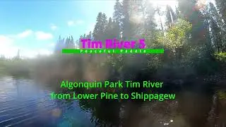 Peaceful Paddle - Tim River 5 - Lower Pine to Shippagew
