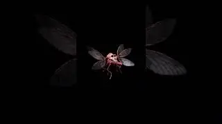 Eldritch Horror Puppet From Another Dimension